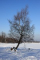 100131cc099