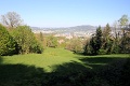 190421_7D2_0149