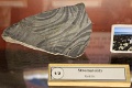 190915_7D2_0055