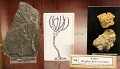190915_7D2_0078