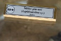 190915_7D2_0266