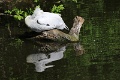 200507_7D2_0007