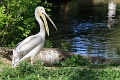 200507_7D2_0010