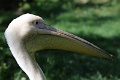 200507_7D2_0012