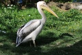 200507_7D2_0014