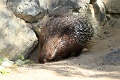 200507_7D2_0023