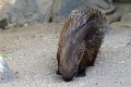 200507_7D2_0028