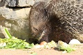 200507_7D2_0034