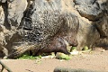 200507_7D2_0038