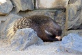 200507_7D2_0046