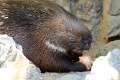 200507_7D2_0048