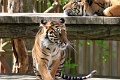 200507_7D2_0056