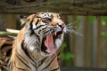 200507_7D2_0064