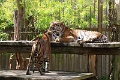 200507_7D2_0072