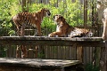 200507_7D2_0077