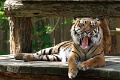 200507_7D2_0090