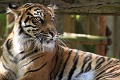 200507_7D2_0106