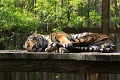 200507_7D2_0107
