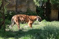 200507_7D2_0112