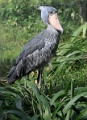 200507_7D2_0122
