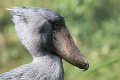 200507_7D2_0127