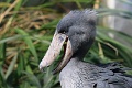 200507_7D2_0130