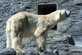 200507_7D2_0140