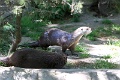 200507_7D2_0143