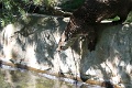 200507_7D2_0145