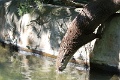 200507_7D2_0147