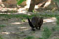 200507_7D2_0156