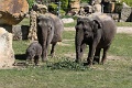 200507_7D2_0167