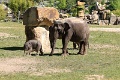 200507_7D2_0168