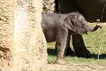 200507_7D2_0172