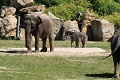 200507_7D2_0178