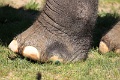 200507_7D2_0190