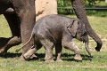 200507_7D2_0198