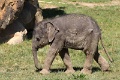 200507_7D2_0213