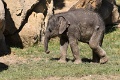 200507_7D2_0215