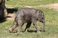 200507_7D2_0216