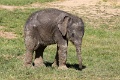 200507_7D2_0218