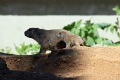 200507_7D2_0246