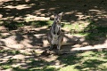 200507_7D2_0315